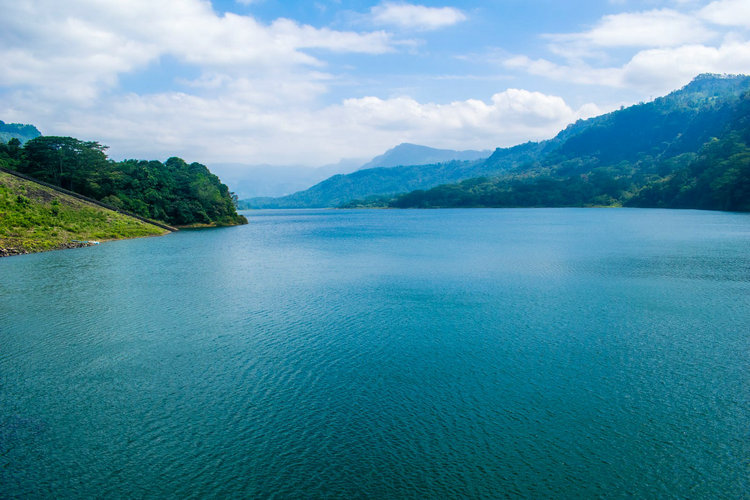 浮标 浮标