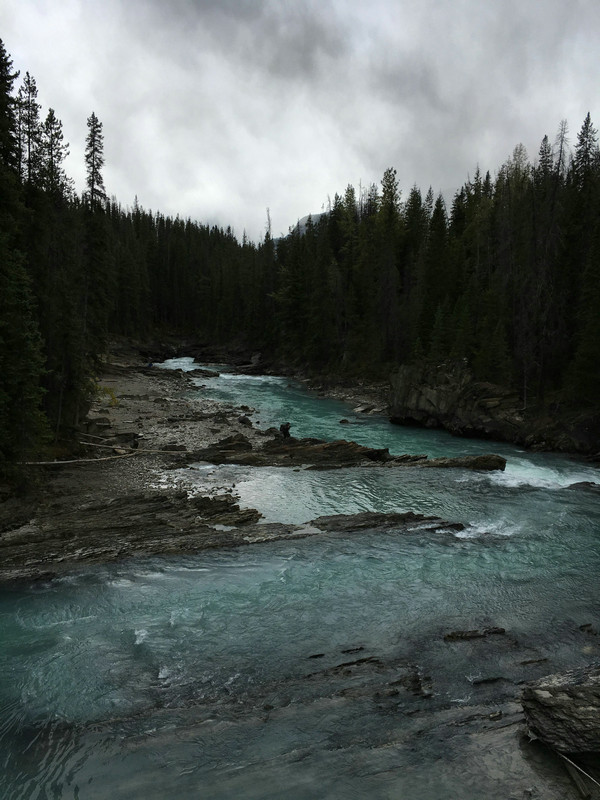 水中总磷浓度 水中总磷浓度