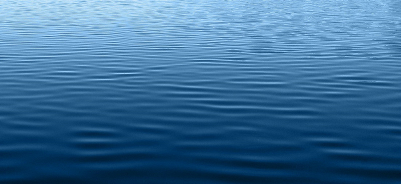 水中养殖 水中养殖