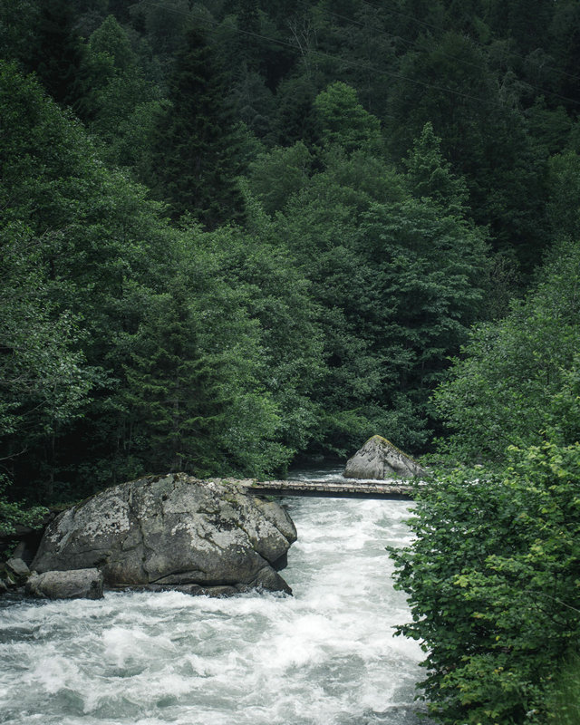 水中油传感器 水中油传感器