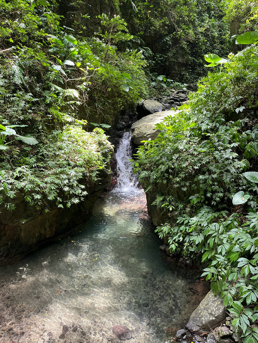 数字氨氮传感器 数字氨氮传感器