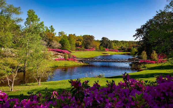 1748481514515160.jpg bellingrath-gardens-alabama-landscape-scenic-158063.jpg