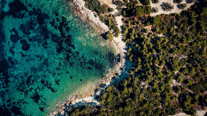 1762915301721727.jpg 88.jpg