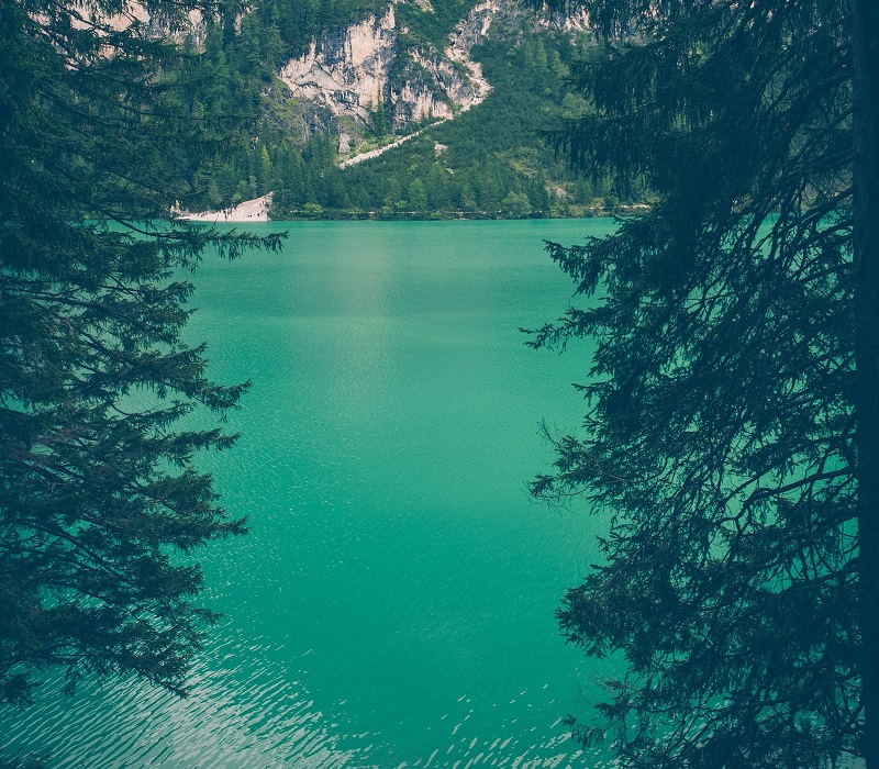 1763432479398511.jpg 79.jpg