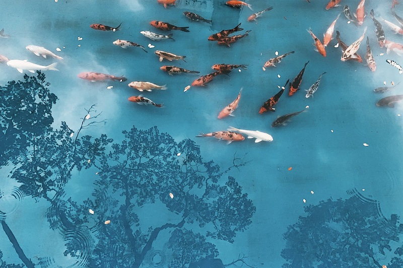 1766024519815871.jpg 220.jpg