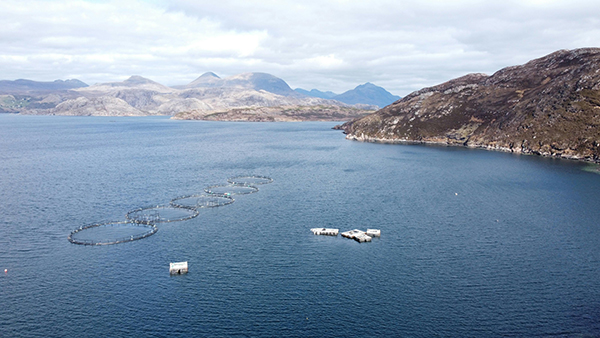 1774677892183740.jpg pexels-e-stephen-2155349928-33677972.jpg